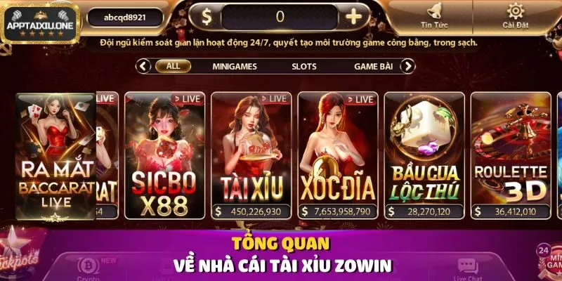 Tổng quan về nhà cái Tài Xỉu Zowin